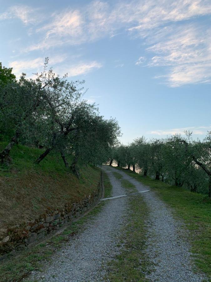 Marziani Rustic Tuscan House 카판노리 외부 사진